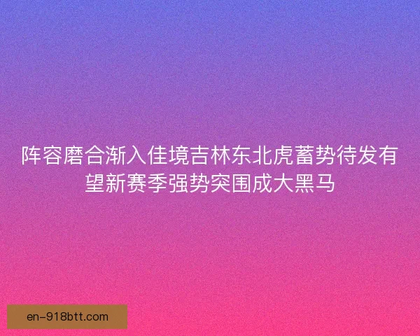 阵容磨合渐入佳境吉林东北虎蓄势待发有望新赛季强势突围成大黑马