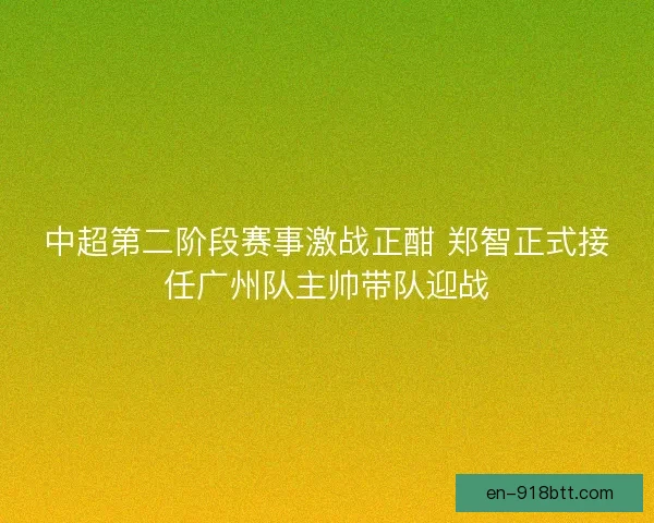 中超第二阶段赛事激战正酣 郑智正式接任广州队主帅带队迎战 中超第二阶段赛事激战正酣 郑智正式接任广州队主帅带队迎战